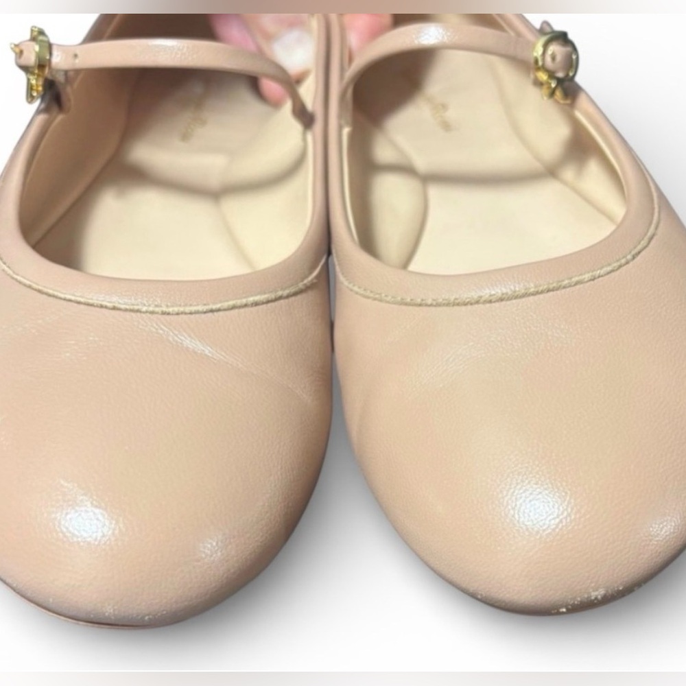 DELISTING TONIGHT. Gianvito Rossi Carla Ballerina. Tan Leather EU 40 (US 9.5–10) - Picture 9 of 11